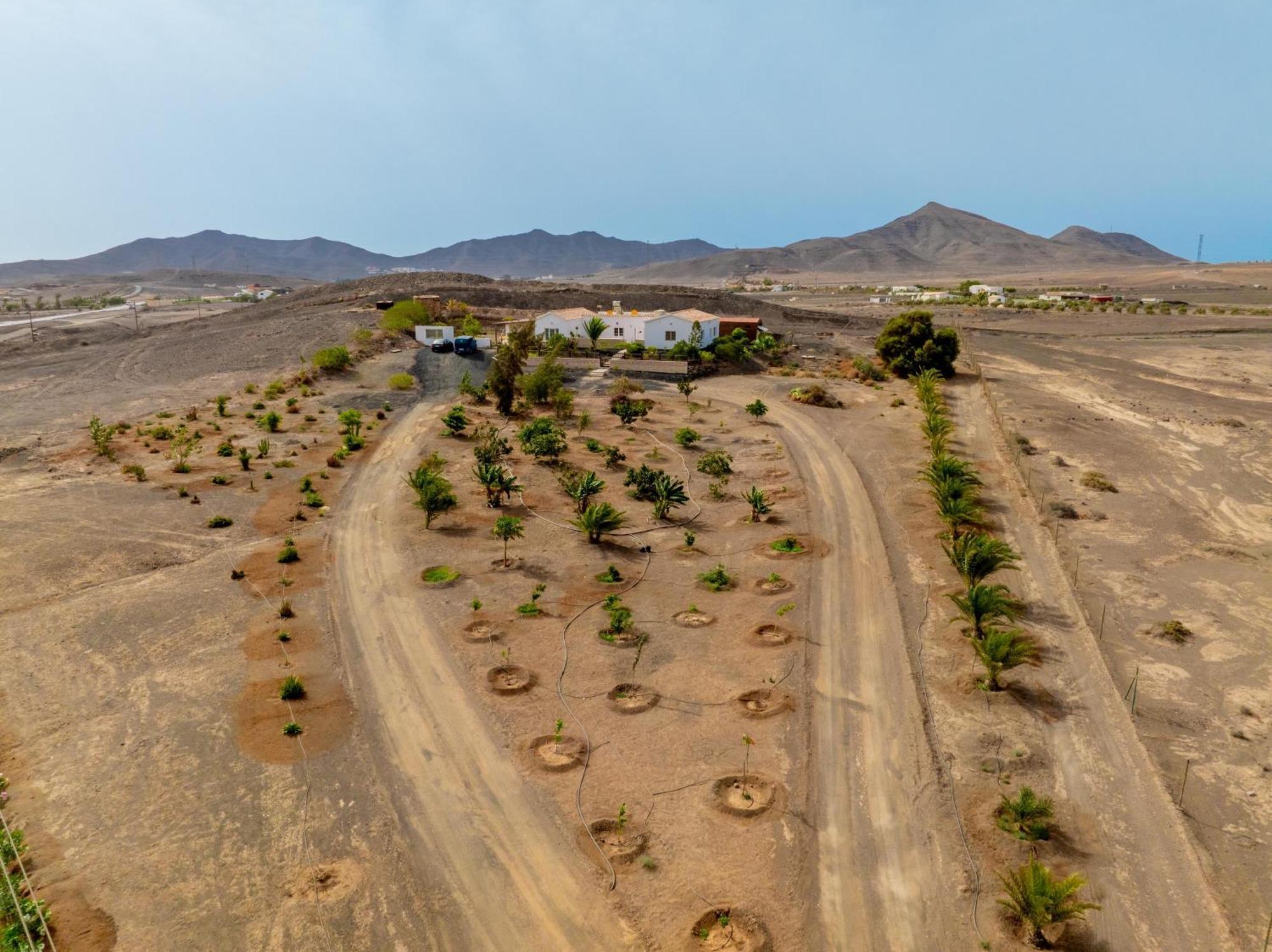Casa Amaya - Spacious House With Pool, Large Garden, Bbq, 2 Terraces, And Ideal Location El Charco  Buitenkant foto